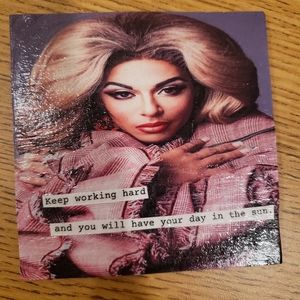 Rupaul's Drag Race, Shangela coaster